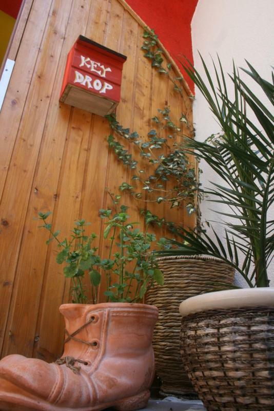 The Mellow Monkey Hostel 扎达尔 外观 照片