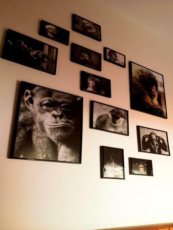 The Mellow Monkey Hostel 扎达尔 外观 照片